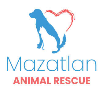 Hope for Mazatlan's Abandonded Animals